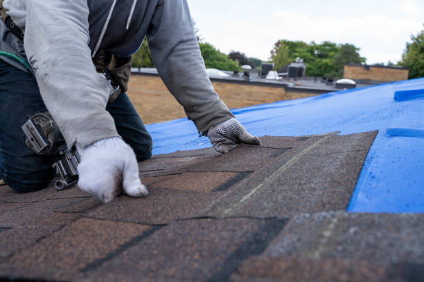 Best Roof Restoration Services  in Wallburg, NC